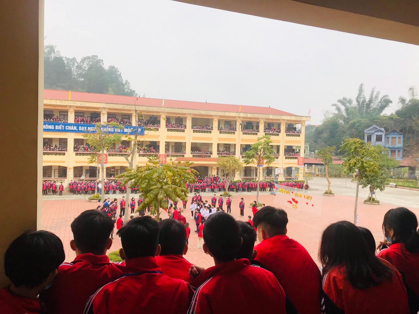 Ảnh 6