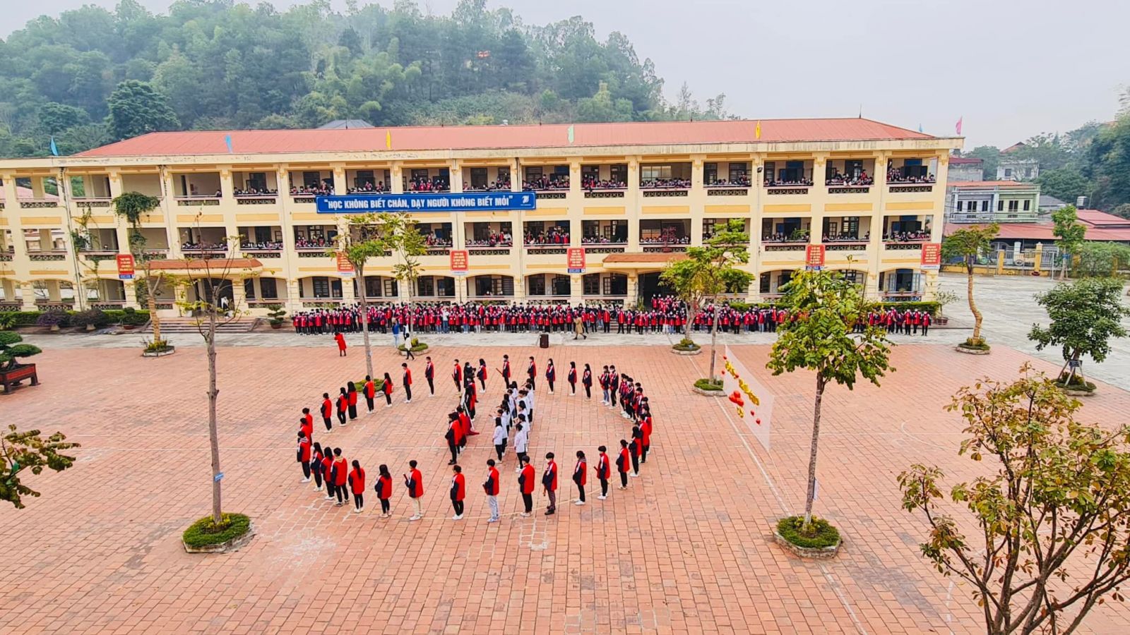 Ảnh 8