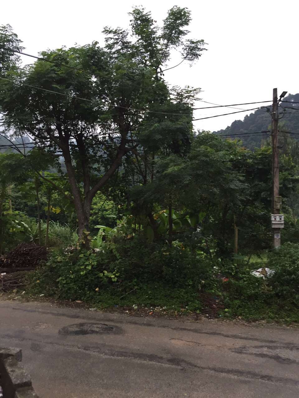z3763495337099_4478ca0b8afdcea9c14ae7595758b27c_52673