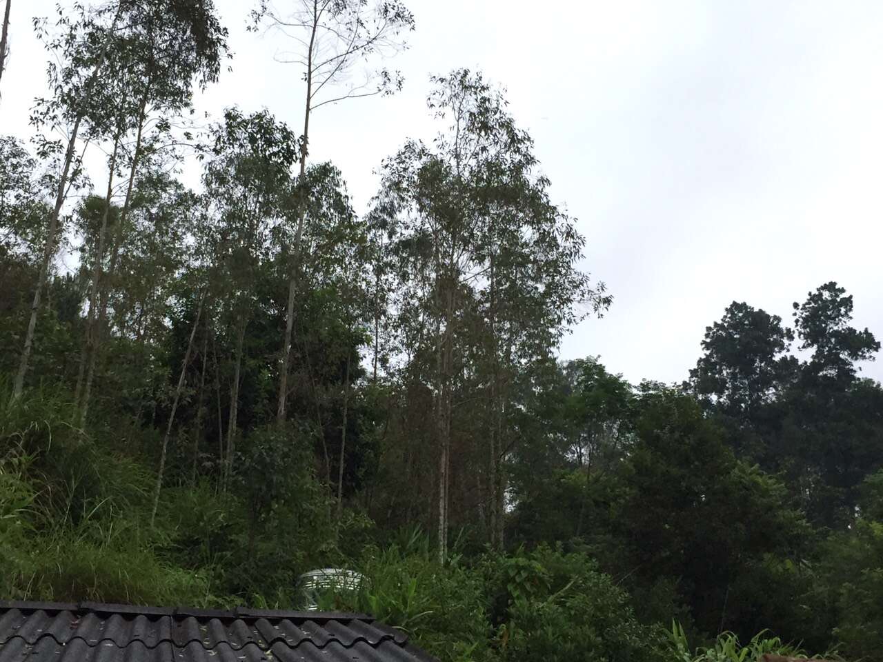 z3763495344468_10d4a32d23934654d1787c4d681c7092_f2c8e