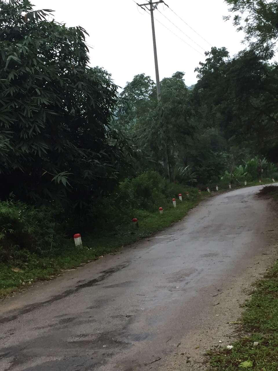 z3763495344767_5680875090175d92dfa3d3abd1269baa_b01a4