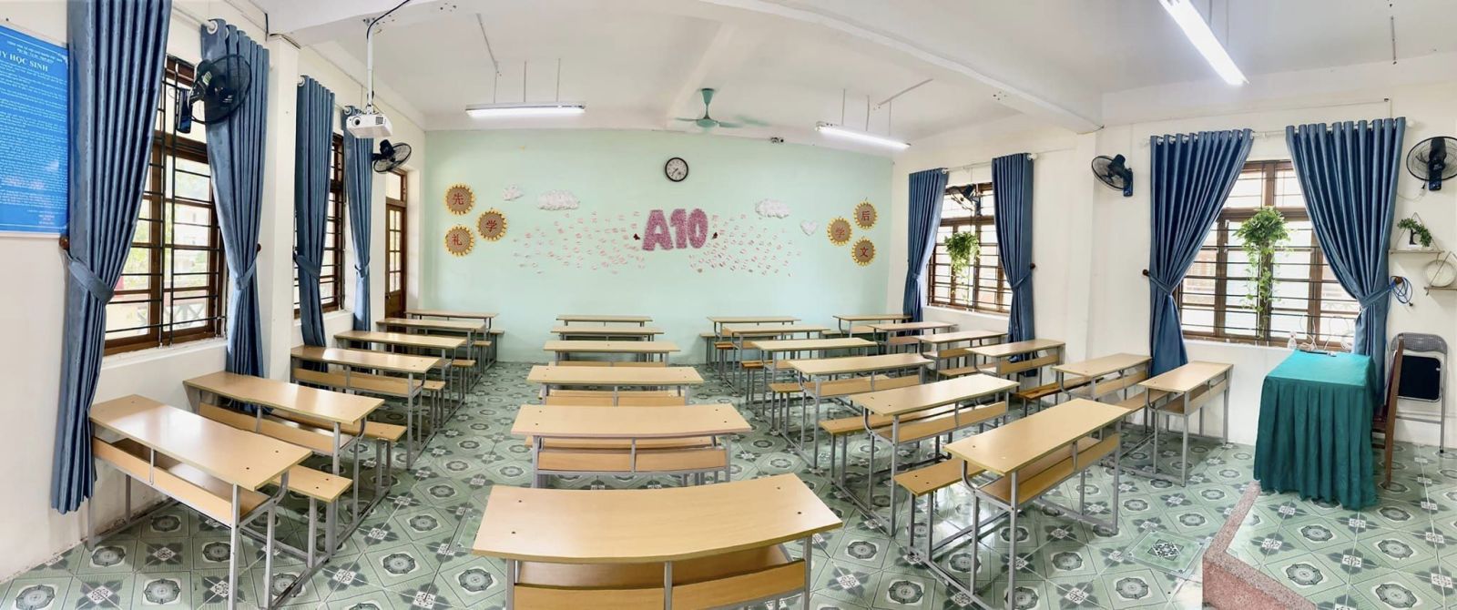 Ảnh 11