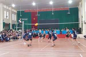 KẾT QUẢ GIẢI BÓNG CHUYỀN HƠI LẦN THỨ III TRƯỜNG THPT HOÀNG VĂN THỤ NĂM HỌC 2022 - 2023