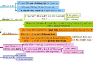 Sơ đồ tư duy bài 1 Đại số 10