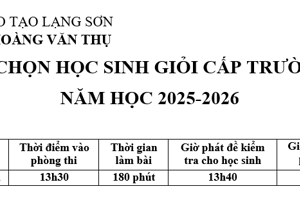 TRÍ TUỆ TỎA SÁNG – CHẮP CÁNH ƯỚC MƠ 🌟 KỲ THI HỌC SINH GIỎI CẤP TRƯỜNG LỚP 11 TRƯỜNG THPT HOÀNG VĂN THỤ